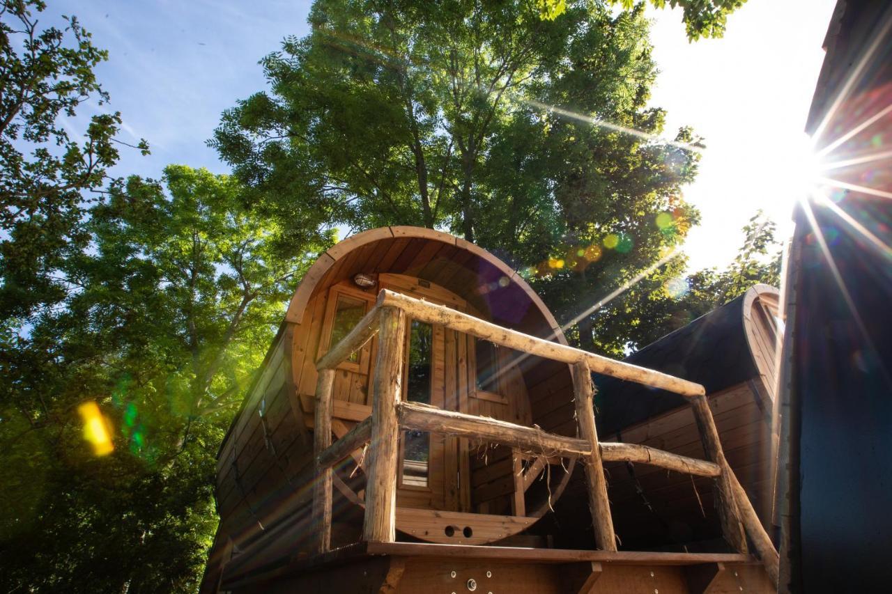 Boomhuis Met Optioneel Wellness - Vakantiepark De Schreiershoek Dokkum Eksteriør billede