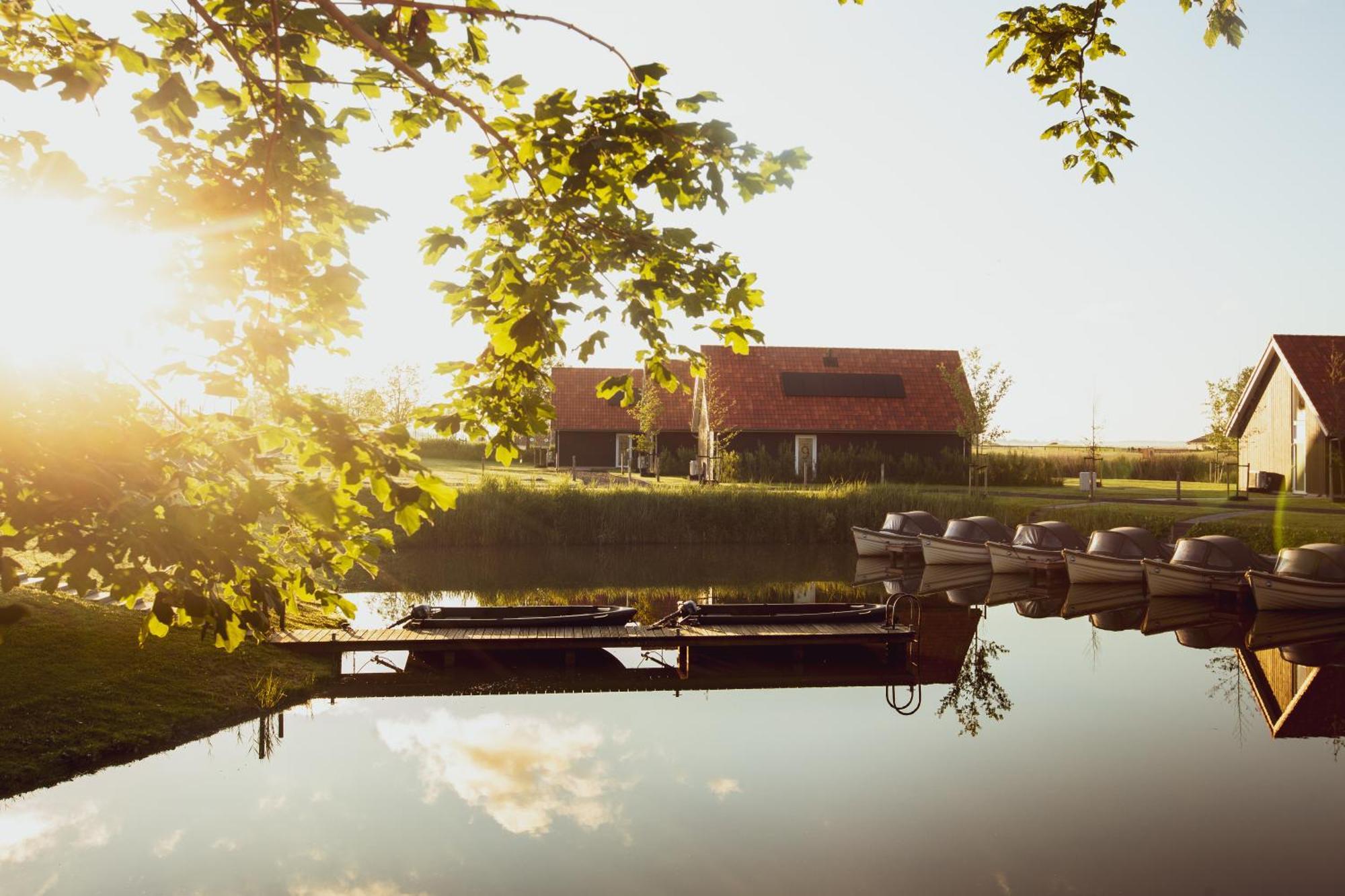 Boomhuis Met Optioneel Wellness - Vakantiepark De Schreiershoek Dokkum Eksteriør billede
