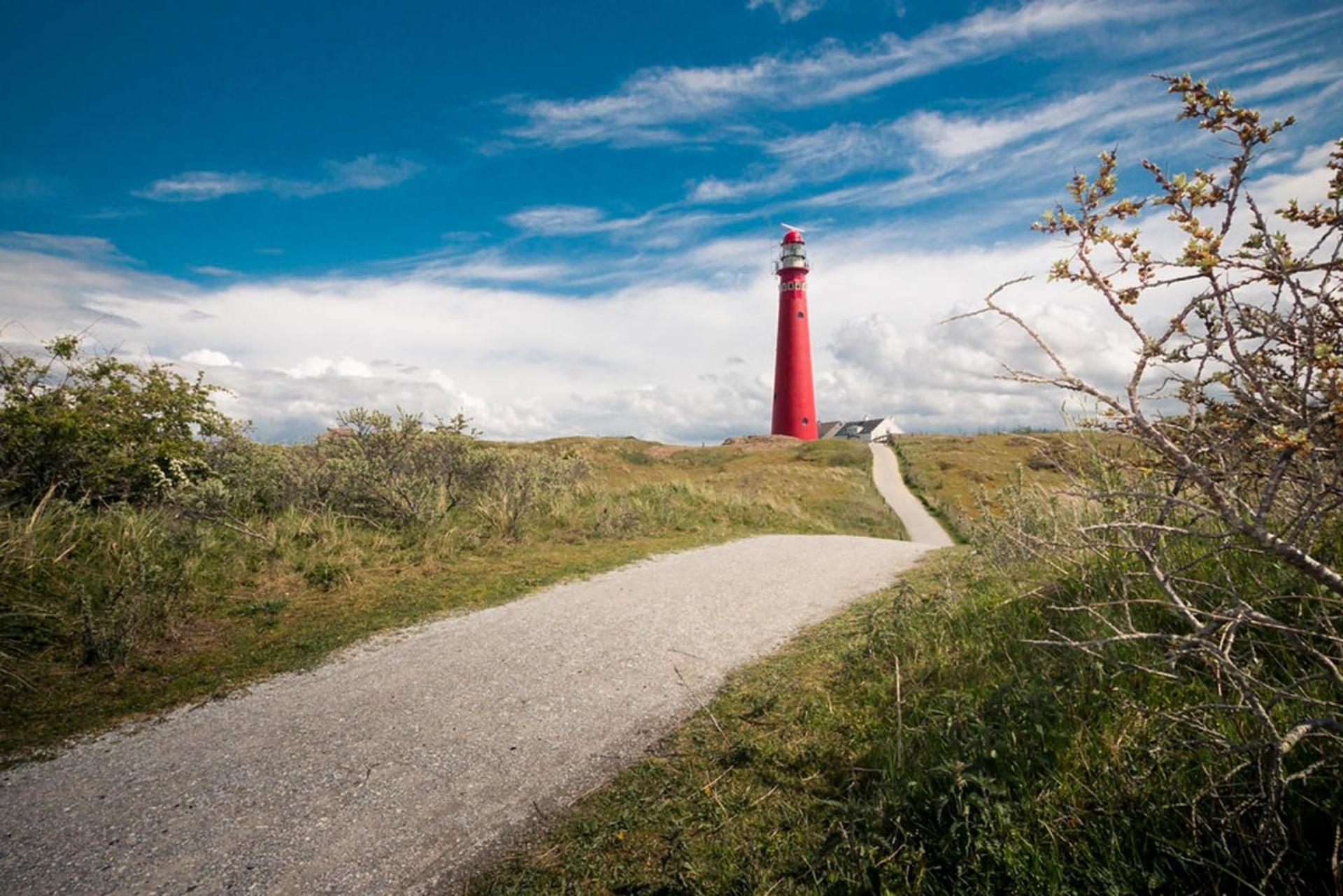 Boomhuis Met Optioneel Wellness - Vakantiepark De Schreiershoek Dokkum Eksteriør billede