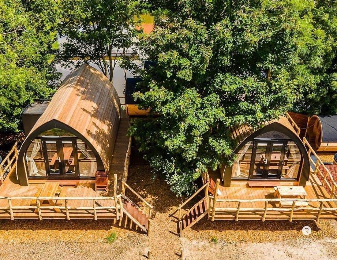 Boomhuis Met Optioneel Wellness - Vakantiepark De Schreiershoek Dokkum Eksteriør billede