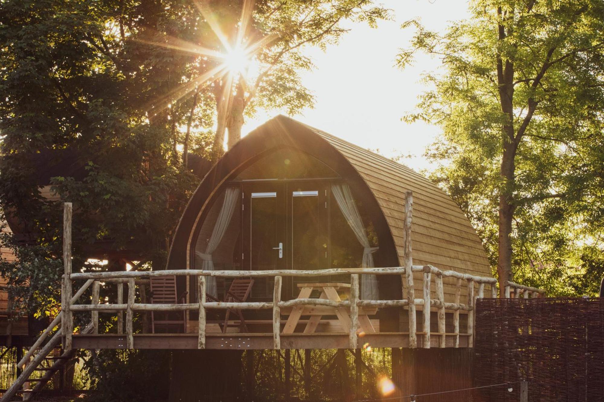 Boomhuis Met Optioneel Wellness - Vakantiepark De Schreiershoek Dokkum Eksteriør billede