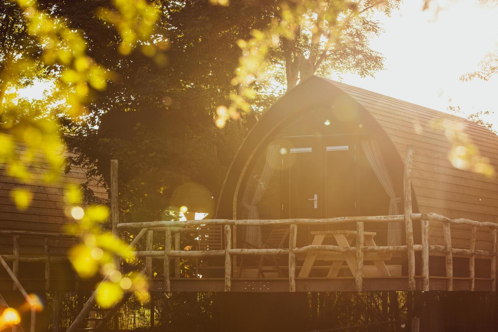Boomhuis Met Optioneel Wellness - Vakantiepark De Schreiershoek Dokkum Eksteriør billede