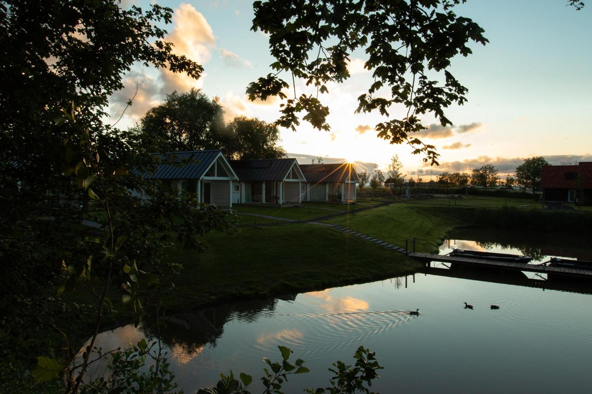 Boomhuis Met Optioneel Wellness - Vakantiepark De Schreiershoek Dokkum Eksteriør billede